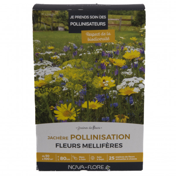 Semence - Jachère pollinisation